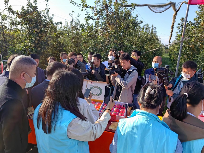 微信图片_20221008180435.jpg