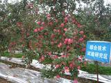 基地综合试验研究区.jpg