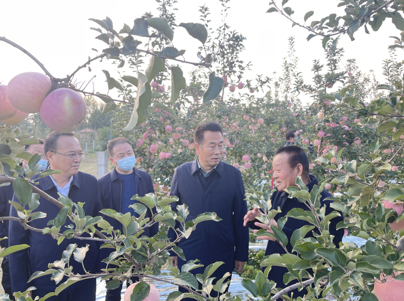 微信图片_20221013160658.png