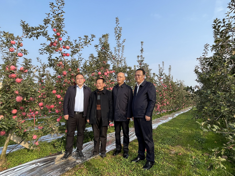 微信图片_20221023182856.png